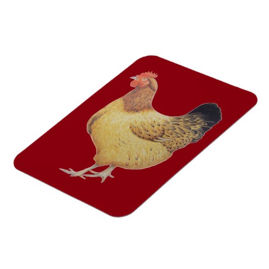 チキン2012 マグネット (左側)