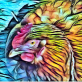 チキン エプロン