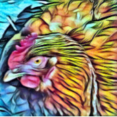 チキン キーホルダー