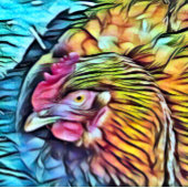 チキン セラミックノブ