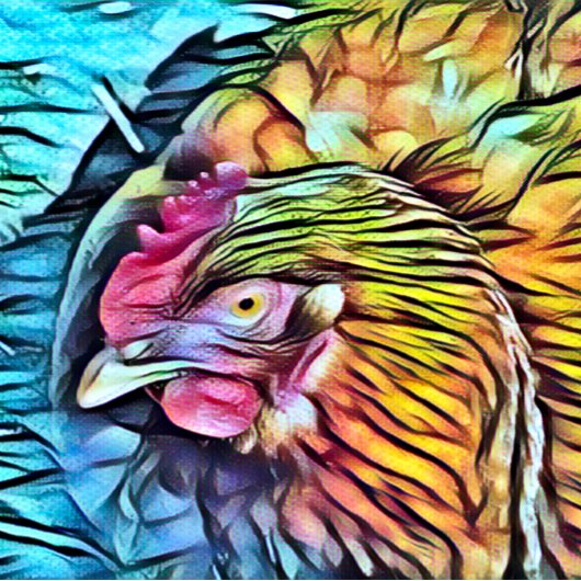 チキン セラミックノブ