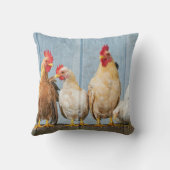 チキン&フレンズ クッション (裏面)