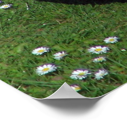 チキン ポスター (角)