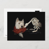 チキン、ヴァルチャー、ウェスティーのような味 ポストカード (正面/裏面)