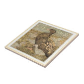 チクスウォーターズエッジオランダアービクトリアント タイル (側面)