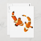 チクチク ポストカード (正面/裏面)