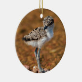 チクリング セラミックオーナメント (右)