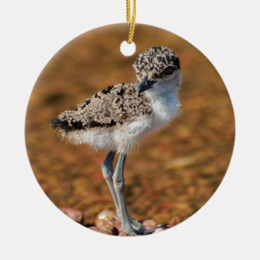 チクリング セラミックオーナメント (正面)