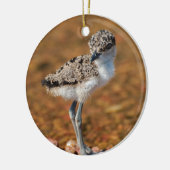 チクリング セラミックオーナメント (左)