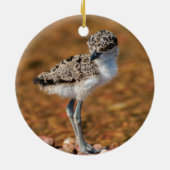 チクリング セラミックオーナメント (裏面)