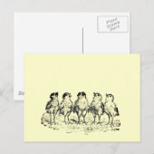 チク ポストカード (正面/裏面)