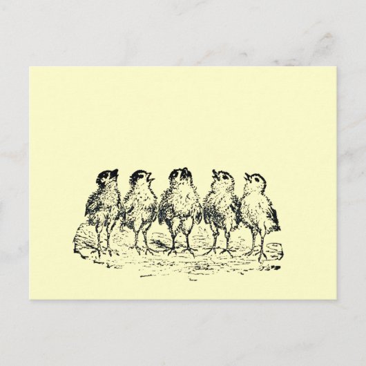 チク ポストカード (正面)