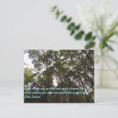 チコザビエル引用文 ポストカード (スタンド正面)