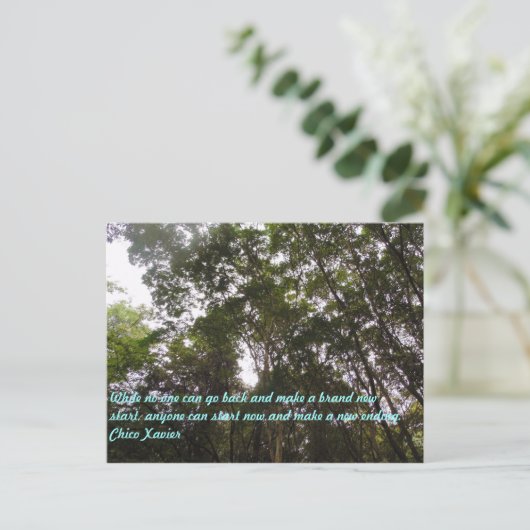 チコザビエル引用文 ポストカード (スタンド正面)