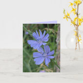 チコリーの花のカード カード (黄色い花)