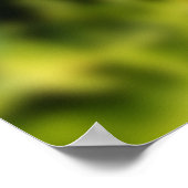 チコリーの花 ポスター (角)