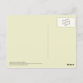 チコリーヴィンテージ植物学 ポストカード (裏面)