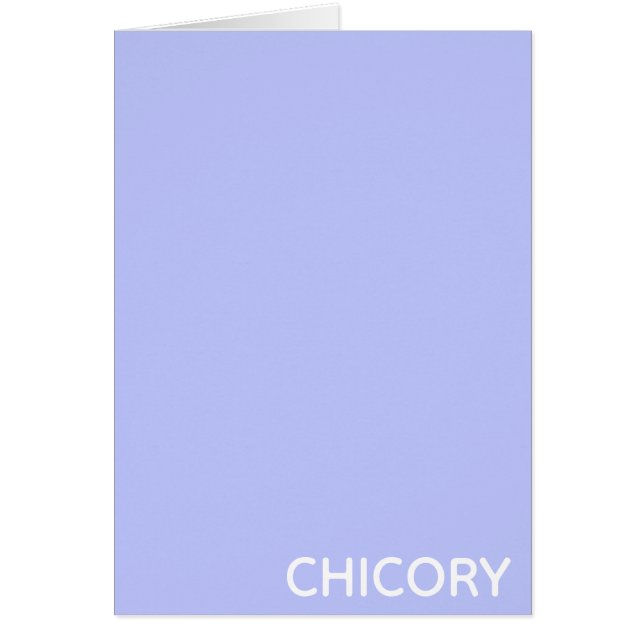 チコリー花の青い色名 (正面)