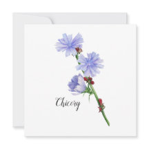 チコリー花ウォーターカラーフラット