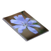 チコリー ノートブック (右側)