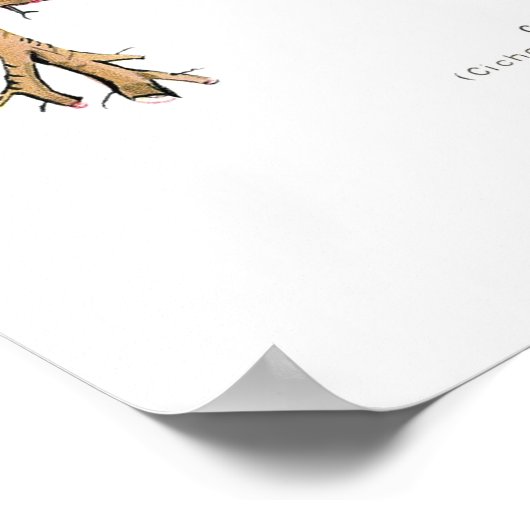 チコリー ポスター (角)