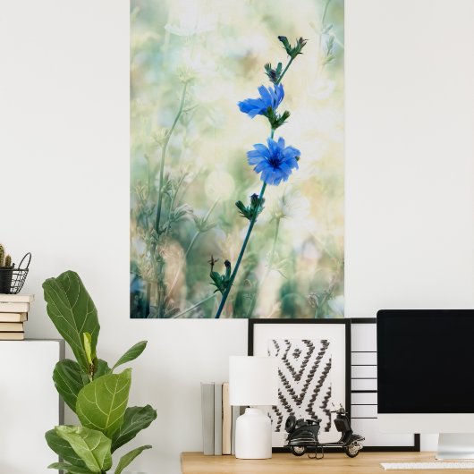 チコリー ポスター (ホームオフィス)