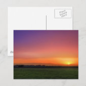 チコ ポストカード (正面/裏面)