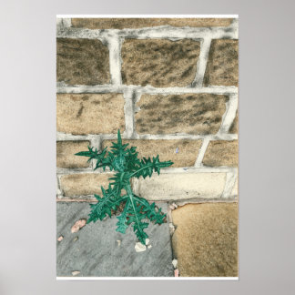 チスルとチップ ポスター