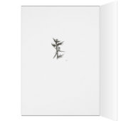 チスル空白のー (内側 (左))