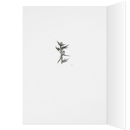 チスル空白のー (内側 (左))