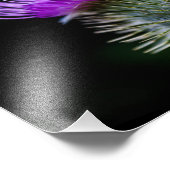 チスル フォトプリント            (角)