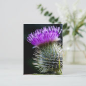 チスル ポストカード (スタンド正面)