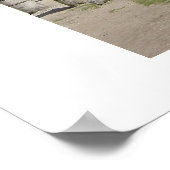 チセニタ8 ポスター (角)