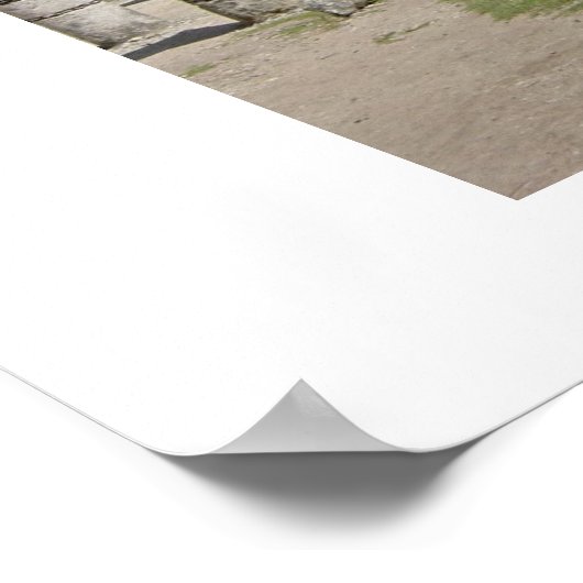 チセニタ8 ポスター (角)