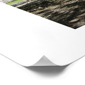 チセニタ9 ポスター (角)