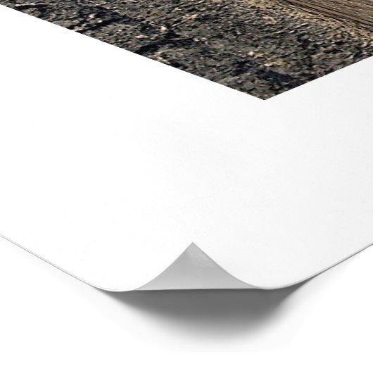 チセニタ ポスター (角)