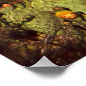 チソス・ムーンライズ ポスター (角)