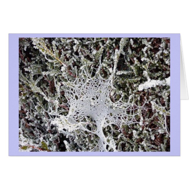 チタニアのスピーチ (正面横)