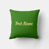 チチェンイッザメキシコレトロマヤンヴィンテージユカタン クッション (裏面)