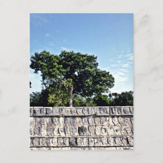 チチェンItza、スカルのTzompantli-Wall ポストカード (正面)