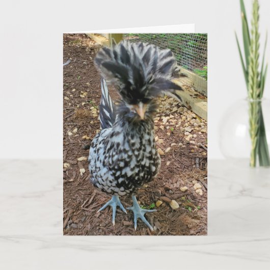 チッおもしろいク・ポーランお気に入りのド・ヘン カード (正面)