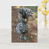 チッおもしろいク・ポーランお気に入りのド・ヘン カード (黄色い花)