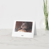 チッおもしろいマンクのダイエット カード (裏面)