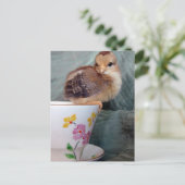 チックオンカップ ポストカード (スタンド正面)