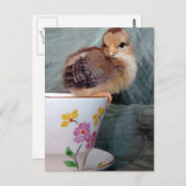 チックオンカップ ポストカード (正面/裏面)