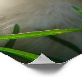 チックスとアヒル ポスター (角)