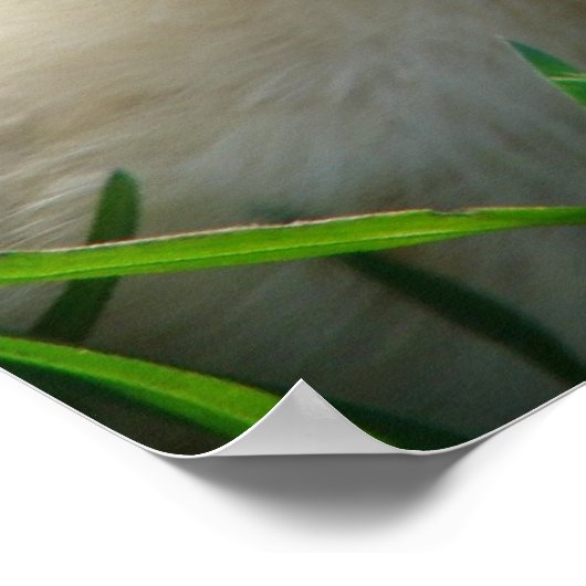 チックスとアヒル ポスター (角)