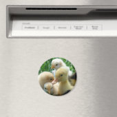 チックスとアヒル マグネット (インサイチュ (食洗機))