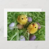 チックスと卵 ポストカード (正面/裏面)