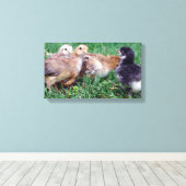 チックス キャンバスプリント (インサイチュ (ウッドフロア))